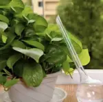 Set 8 boluri de irigare automata Green Gardlov, universal, pentru ghivece de flori, terase si gradini